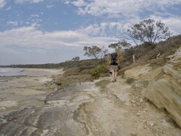 Gummigurrah Walking Track (3.3km) Trail hiking yuraygir coastal trail 600x450