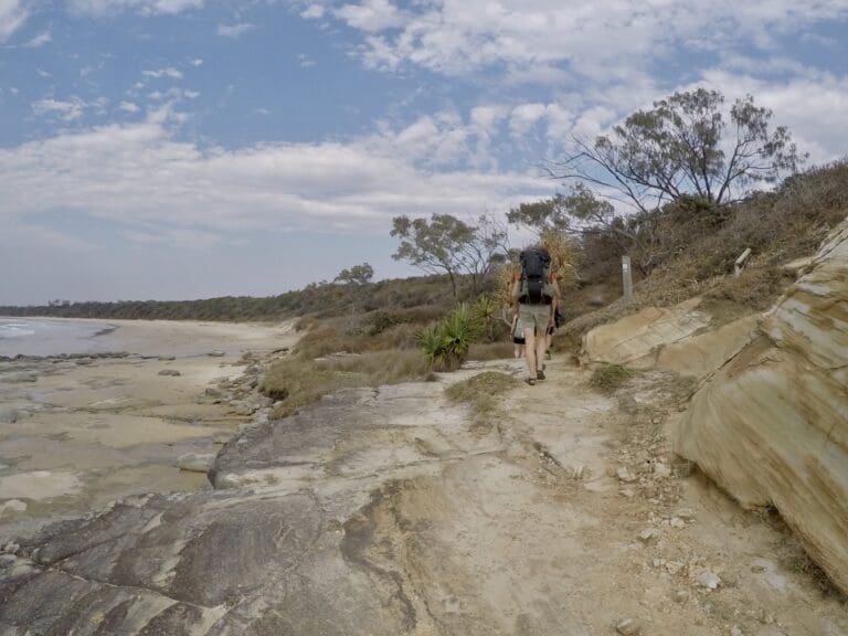 Trail hiking yuraygir coastal trail 768x576
