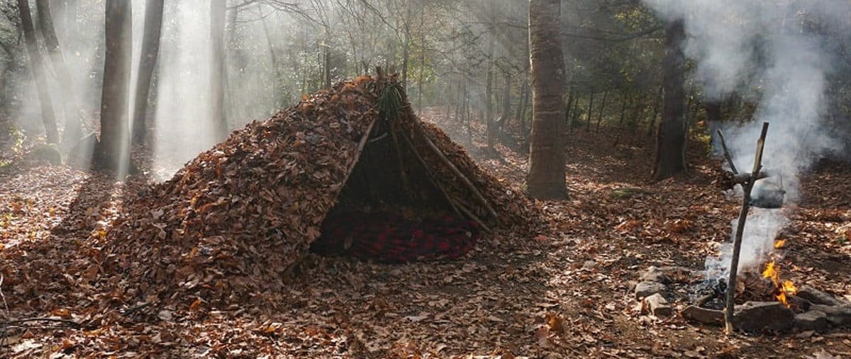 A-frame debris shelter