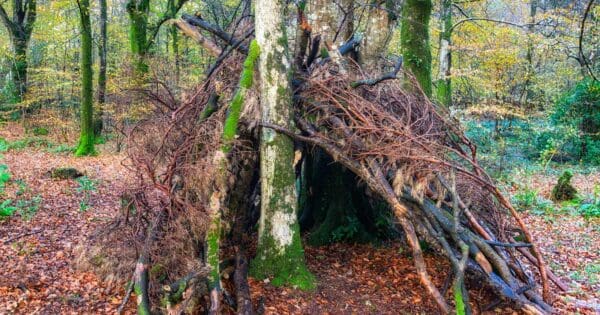How to build a survival shelter