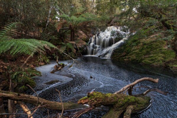 Railton to Sheffield Rail Trail (12km) Redwater creek falls 600x400