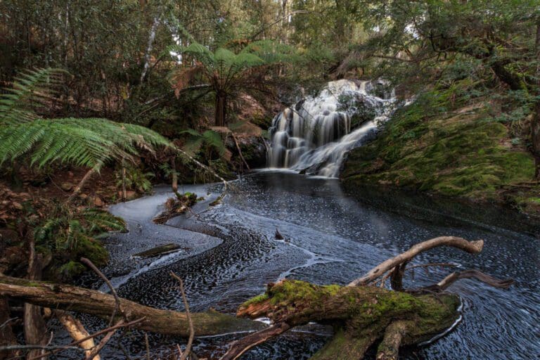 Redwater Creek Falls Walk (1.3km) Redwater creek falls 768x512