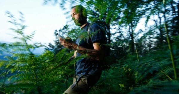 Rule of threes and survival priorities