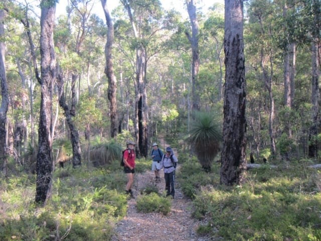 Sika Trail Walk (9.8km) Sika trail