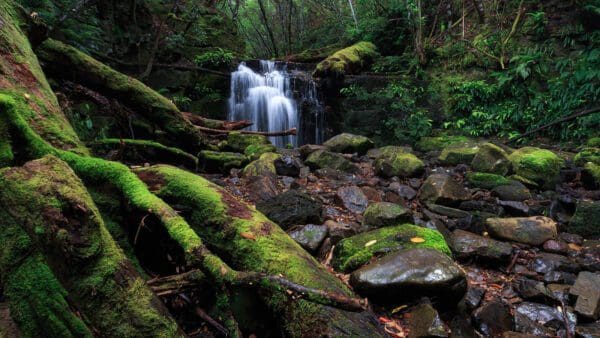 Hikes Strickland falls 600x338