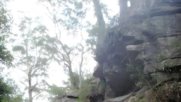 Epping to Thornleigh Station Hike (8km) Epping to thornleigh station hike (8km)