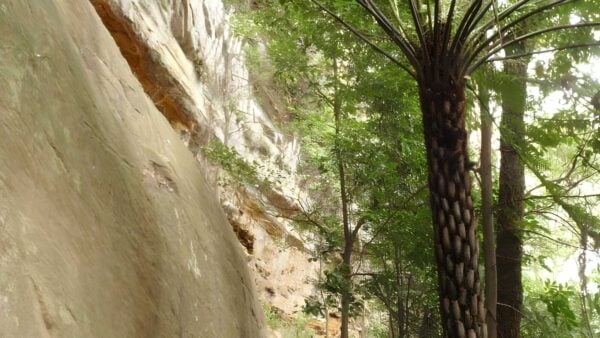 Katandra reserve explorer walk (5. 3km)