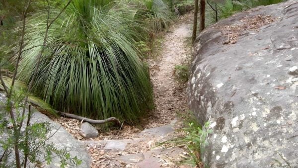 Little beach to mount bouddi track (5km)