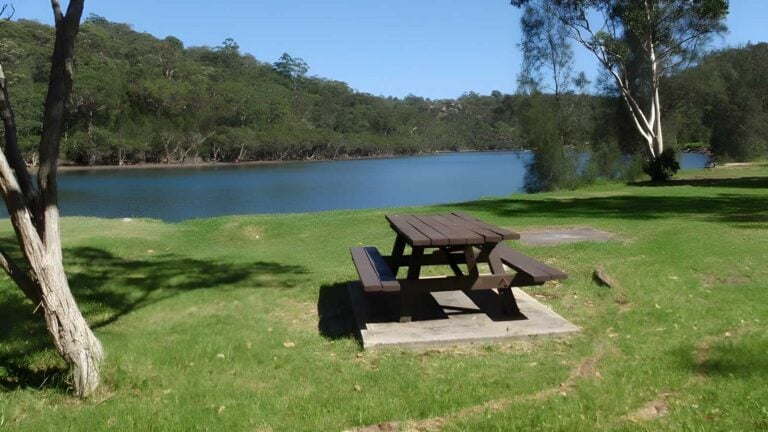 Little digger track to davidson reserve & lyrebird circuit hike (11. 5km)