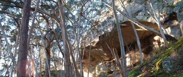 Two Mile Circuit Walk (2.4km) Trail hiking buckertillible cave circuit 7km 600x254