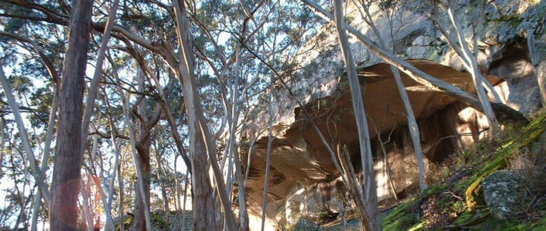 Trail hiking buckertillible cave circuit 7km 768x325