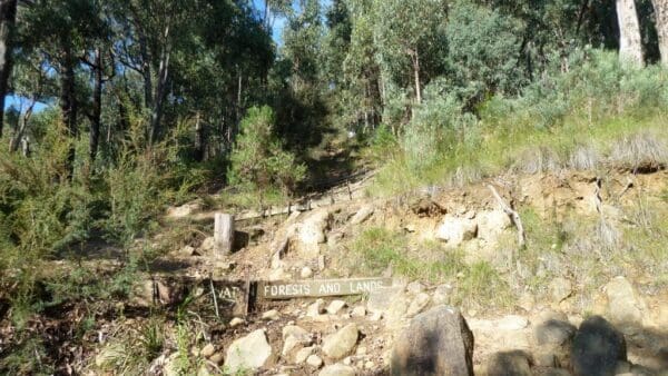 Mount Evelyn Forest Walk (10km) Trail hiking glasgow track circuit 600x338