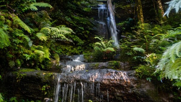 Wentworth Falls Conservation Hut Loop Hike (6.7km) Wentworth falls conservation hut loop hike (6. 7km)