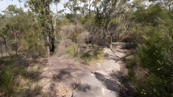 Wondabyne to patonga walking track (23km)
