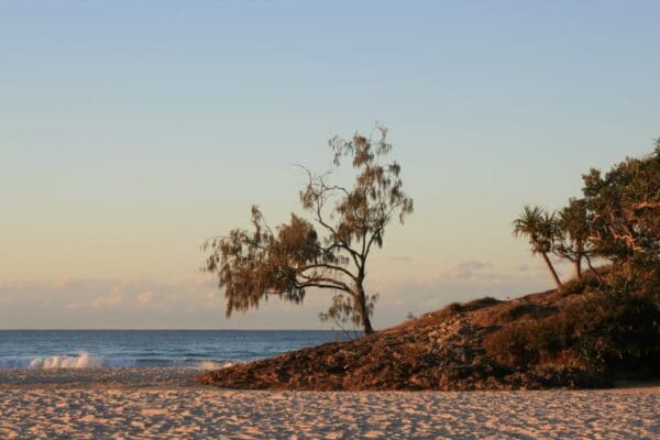 Karboora Track (5.2km) Flinders beach 600x400