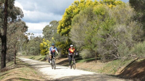 Mount Ida & Dargile Forest Hike (14.5km) Okeefe rail trail 600x338