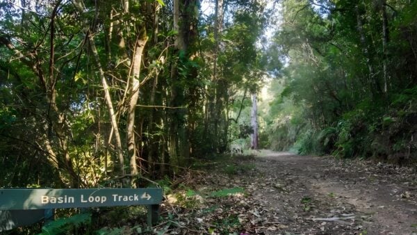 Basin loop track (7km)