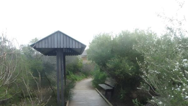 Jennifer Street Boardwalk (700m) Jennifer street boardwalk (700m)