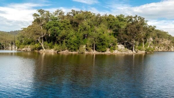 Kangaroo river walking track (7km)
