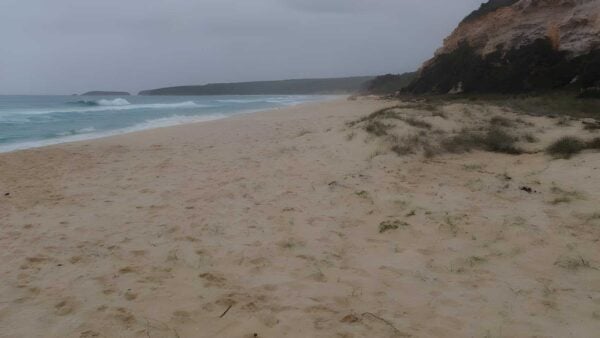 Pinnacles car park to long beach walk (700m)