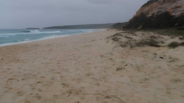 Pinnacles Car Park to Long Beach Walk (700m) Pinnacles car park to long beach walk (700m)