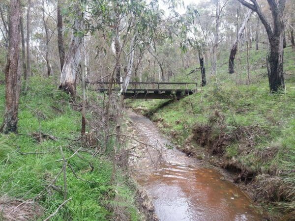 Hikes Trail hiking enfield bald hills loop 600x450