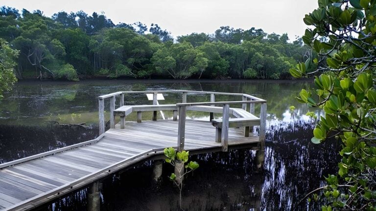Walk On Water Walking Track (1km) Walk on water walking track (1km)