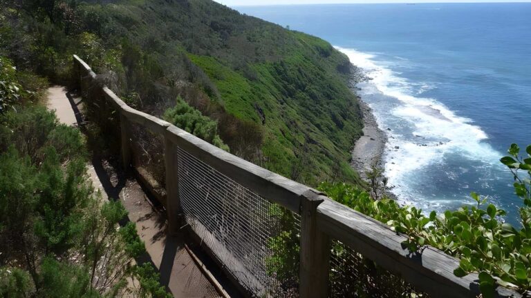Wyrrabalong coast walking track (3. 8km)