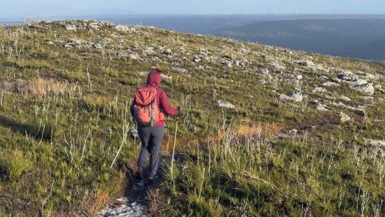 What factors influence calorie burn while hiking?