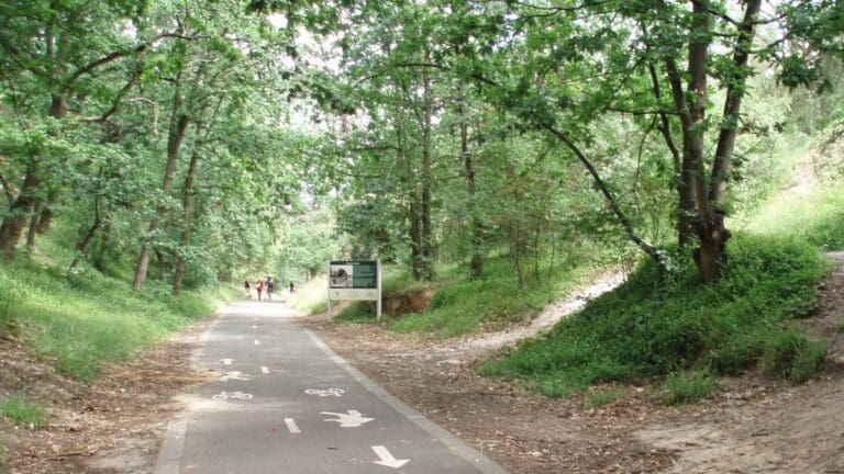 Outer Circle Rail Trail (15km) Outer circle rail trail 768x432