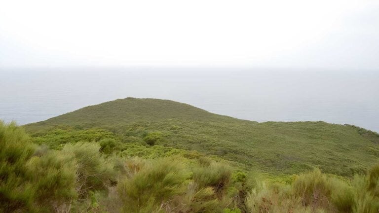 Bouddi lookout walk (1. 8km)