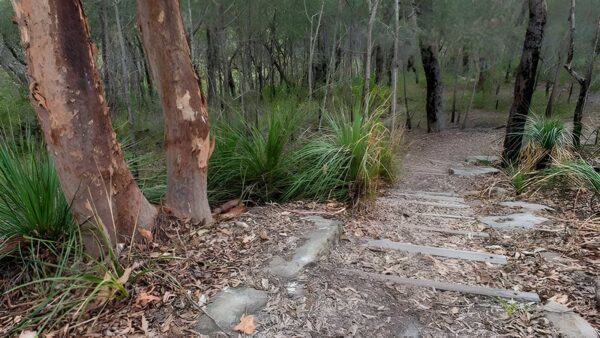 Fiddens wharf walking track (3km)
