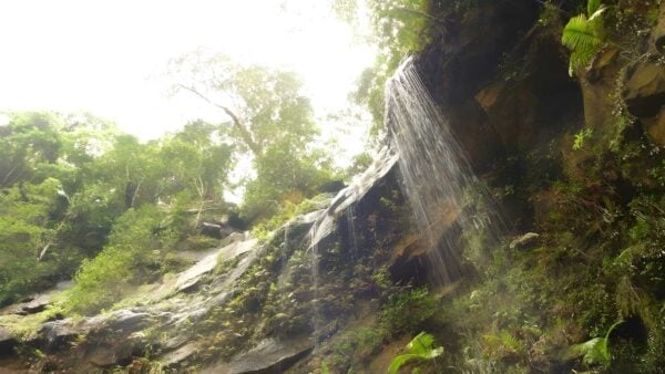 Gap creek falls walk (1. 5km)