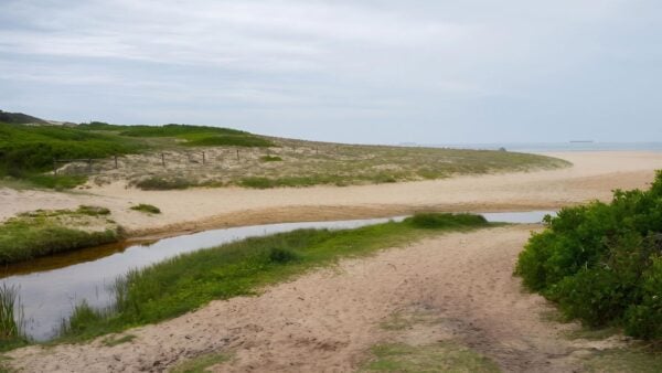 The redhead owens walkway circuit walk (3. 2km)