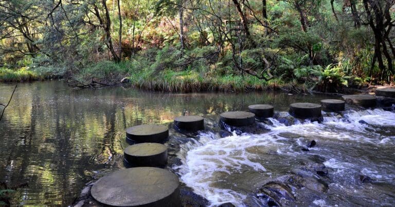 Trail hiking upper yarra goldfields walk 768x403