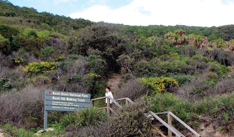 Booti Hill & Wallis Lake Walking Track (7.3km) Booti hill and wallis lake walking track trail hiking australia