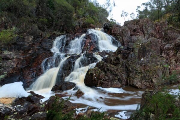 Ferntree falls 600x400