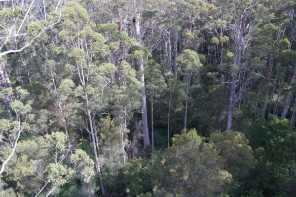 Coalmine Beach Heritage Trail (6km) Shedley drive loop 600x400