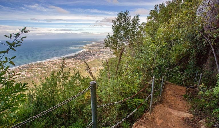 Sublime Point Walking Track (700m) Sublime point walking track trail hiking australia
