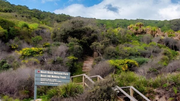 Booti Hill & Wallis Lake Walking Track (7.3km) Booti hill & wallis lake walking track (7. 3km)