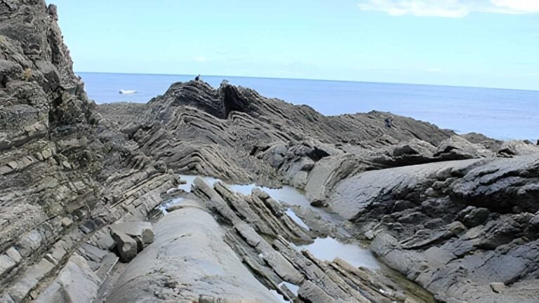 Cape Liptrap Coastal Walk (20.5km) Cape liptrap coastal walk (20. 5km)