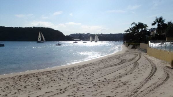 Manly to seaforth oval hike (13. 7km)