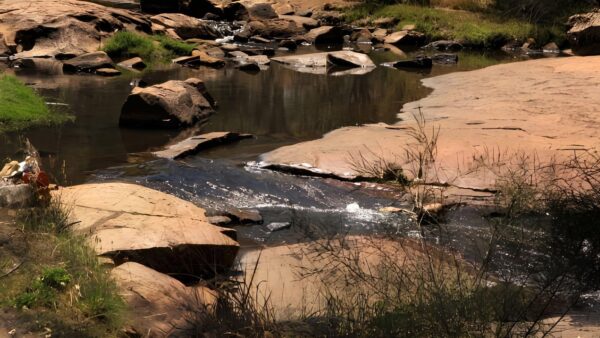 Noble falls trail walk (3. 6km)