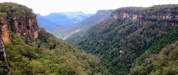 Three views walking track 600x254