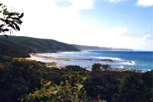 Hikes Trail hiking cape otway blanket bay 25km 600x400