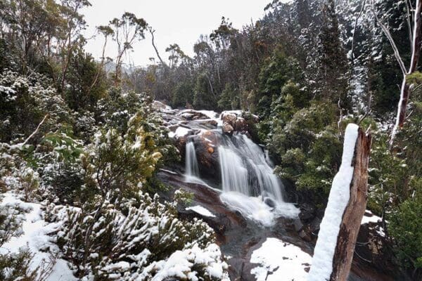 Reuben Falls Walk (2.4km) Arve falls 600x400