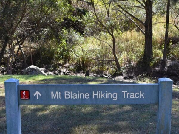 Hikes Mount blaine hiking track 600x450