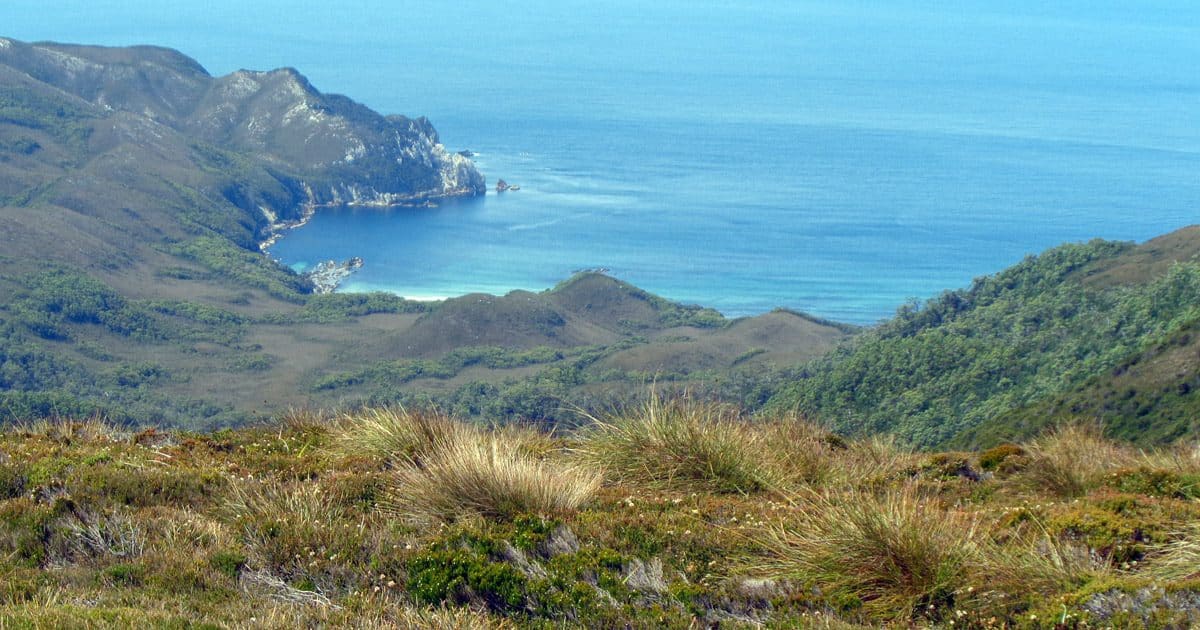 Tip of south west cape