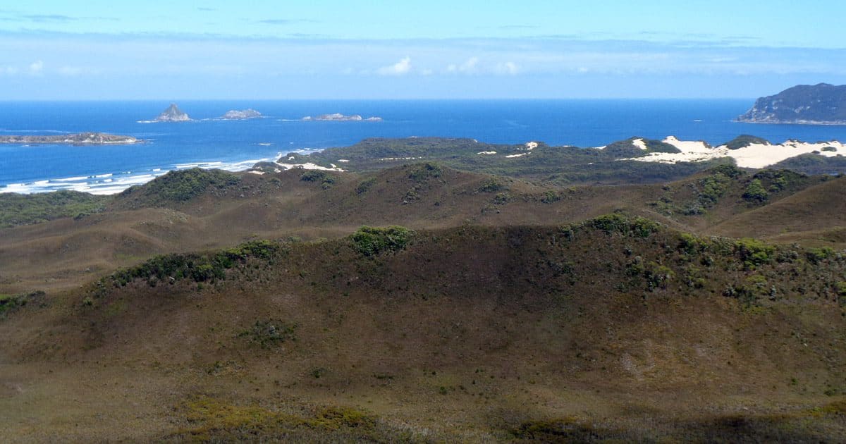 View back to noyhener beach (murgab creek)