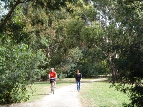 The bunny rail trail 600x450